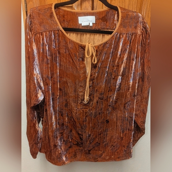 Anthropologie Orange Faustine Velvet Long Sleeve Peasant Blouse - Picture 6 of 7